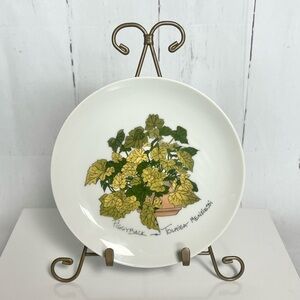 Vintage Piggyback Plant Study Plate by Enesco Japan